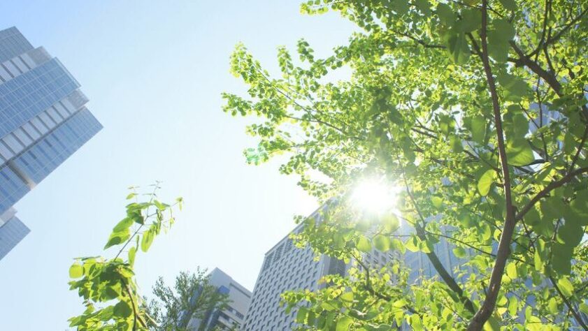 不動産賃貸事業